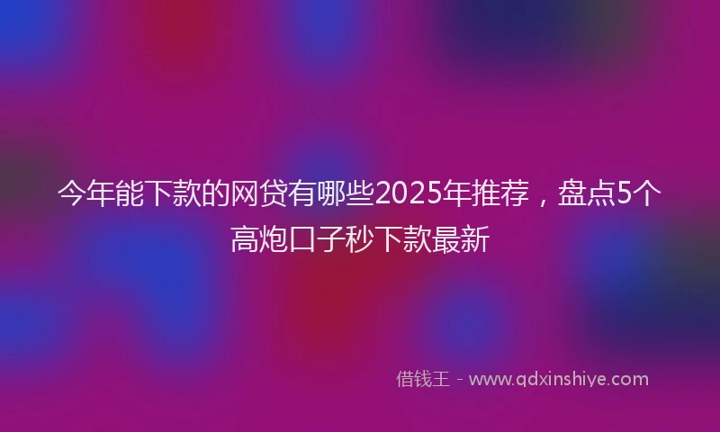 今年能下款的网贷有哪些2025年推荐，盘点5个高炮口子秒下款最新
