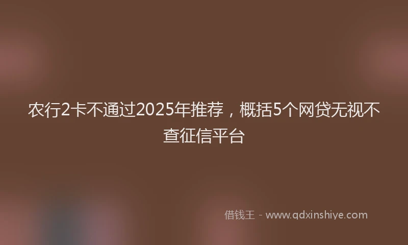 农行2卡不通过2025年推荐，概括5个网贷无视不查征信平台