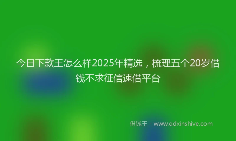 今日下款王怎么样2025年精选，梳理五个20岁借钱不求征信速借平台