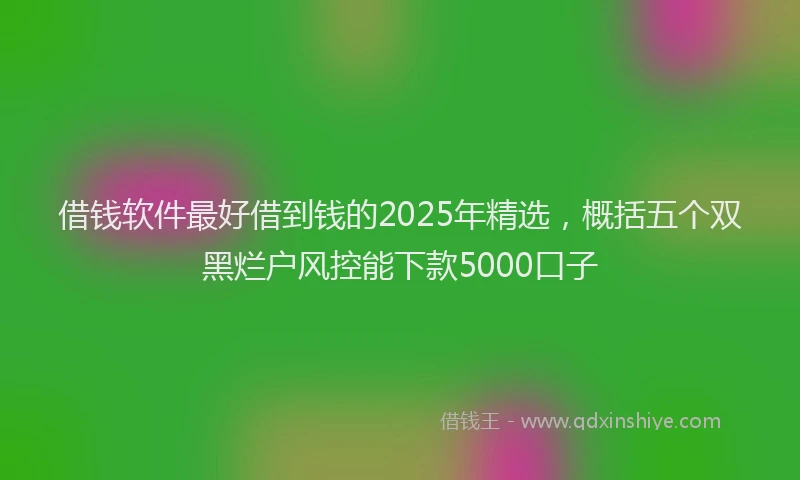 借钱软件最好借到钱的2025年精选，概括五个双黑烂户风控能下款5000口子