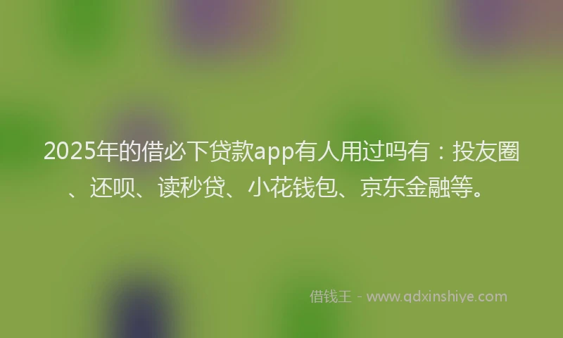 2025年的借必下贷款app有人用过吗有：投友圈、还呗、读秒贷、小花钱包、京东金融等。