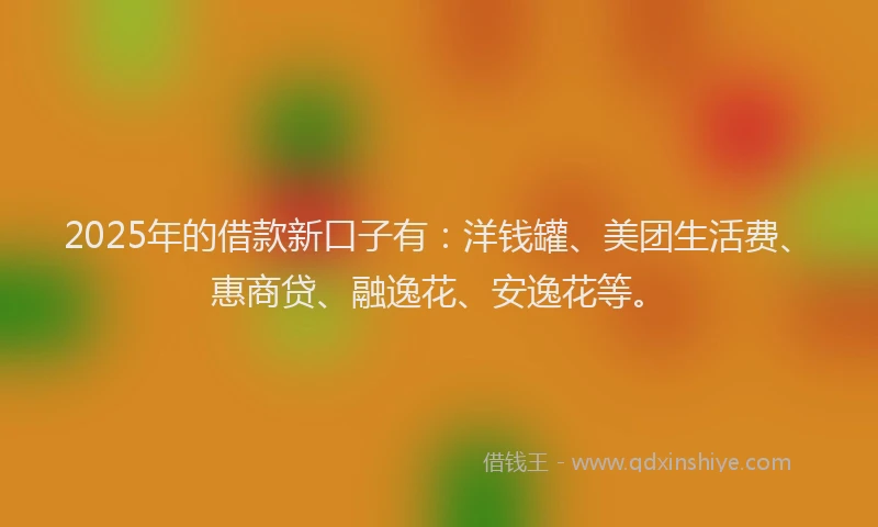 2025年的借款新口子有：洋钱罐、美团生活费、惠商贷、融逸花、安逸花等。
