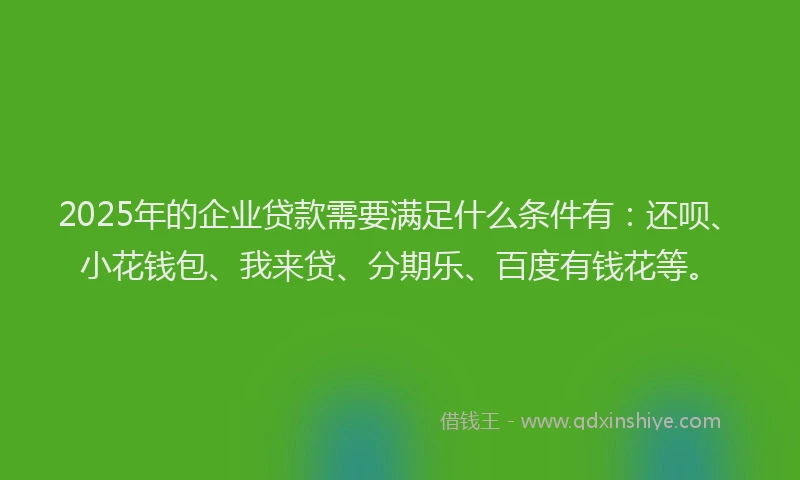 2025年的企业贷款需要满足什么条件有：还呗、小花钱包、我来贷、分期乐、百度有钱花等。