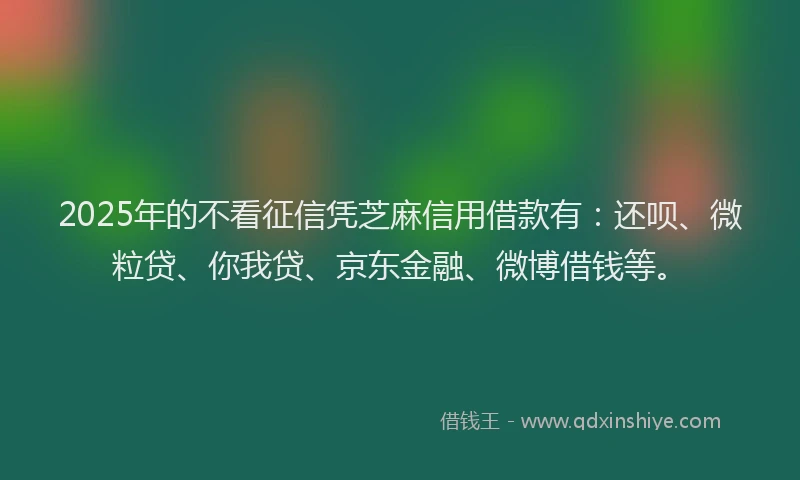 2025年的不看征信凭芝麻信用借款有：还呗、微粒贷、你我贷、京东金融、微博借钱等。