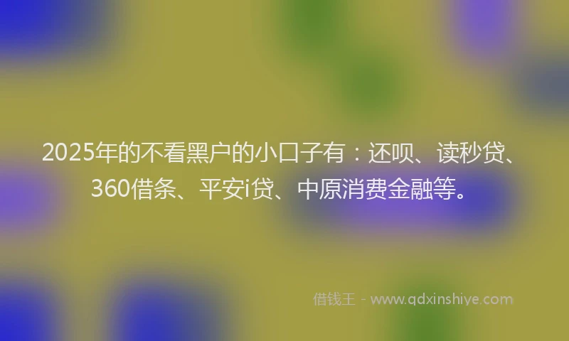 2025年的不看黑户的小口子有：还呗、读秒贷、360借条、平安i贷、中原消费金融等。