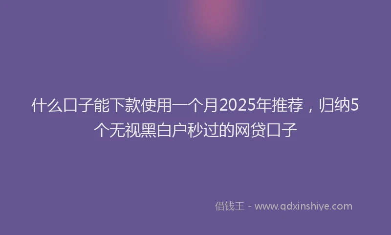 什么口子能下款使用一个月2025年推荐，归纳5个无视黑白户秒过的网贷口子