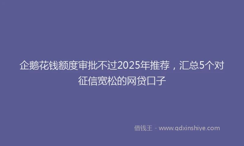 企鹅花钱额度审批不过2025年推荐，汇总5个对征信宽松的网贷口子