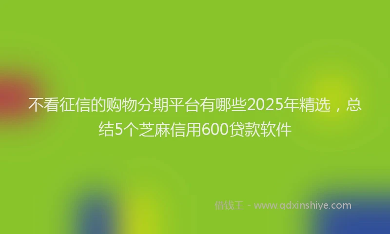 不看征信的购物分期平台有哪些2025年精选，总结5个芝麻信用600贷款软件