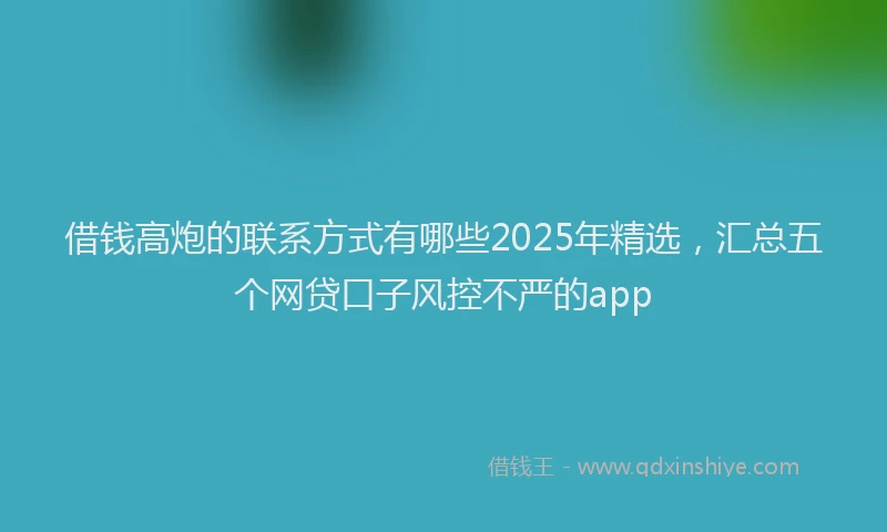 借钱高炮的联系方式有哪些2025年精选，汇总五个网贷口子风控不严的app