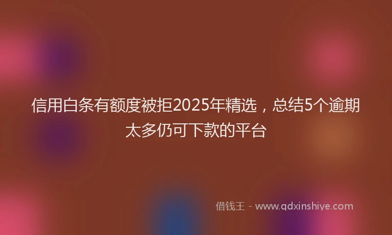 信用白条有额度被拒2025年精选，总结5个逾期太多仍可下款的平台