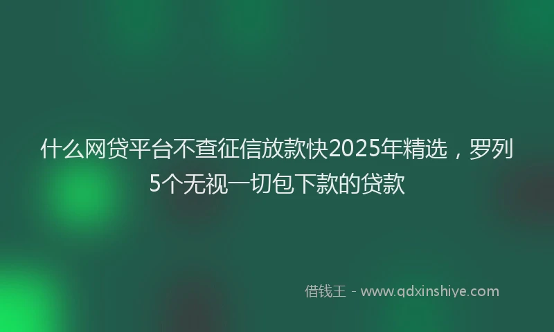 什么网贷平台不查征信放款快2025年精选，罗列5个无视一切包下款的贷款