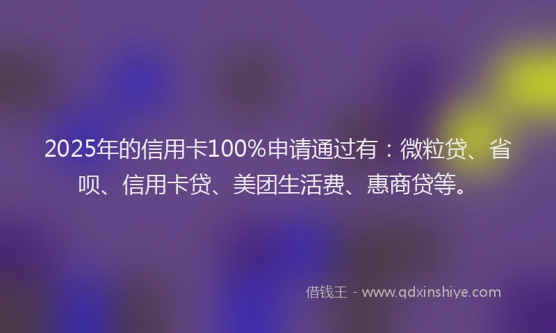 2025年的信用卡100%申请通过有：微粒贷、省呗、信用卡贷、美团生活费、惠商贷等。