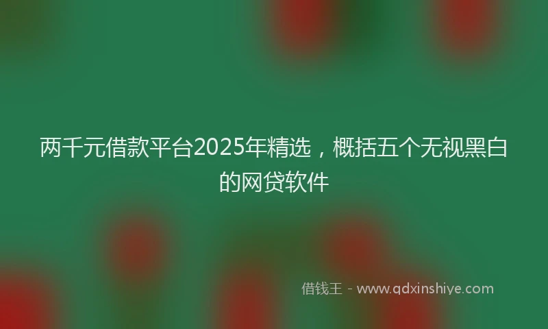 两千元借款平台2025年精选，概括五个无视黑白的网贷软件