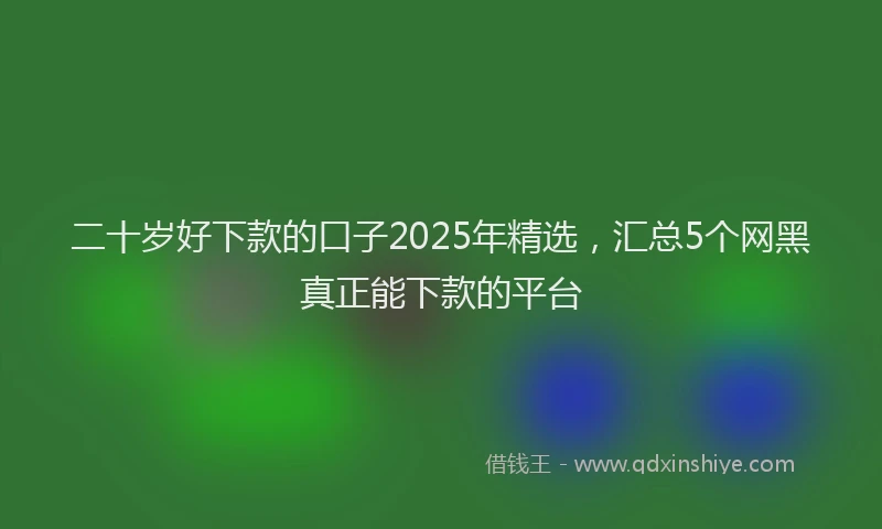 二十岁好下款的口子2025年精选，汇总5个网黑真正能下款的平台