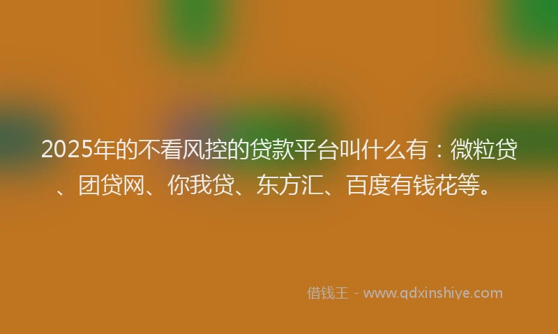 2025年的不看风控的贷款平台叫什么有：微粒贷、团贷网、你我贷、东方汇、百度有钱花等。