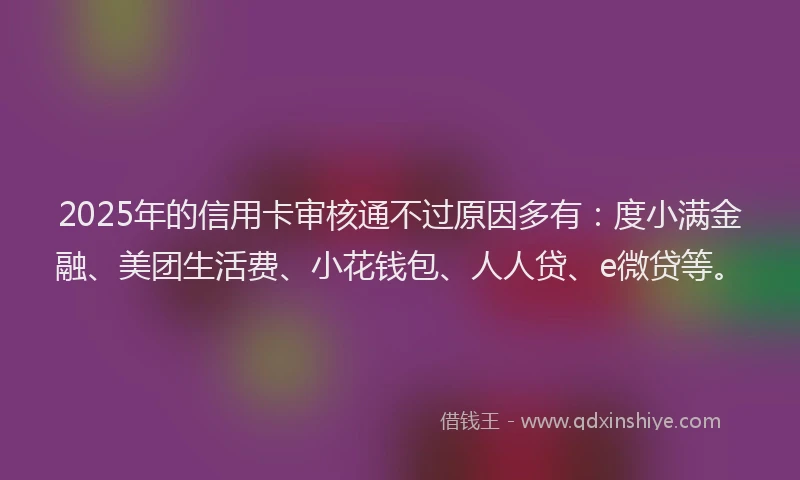 2025年的信用卡审核通不过原因多有：度小满金融、美团生活费、小花钱包、人人贷、e微贷等。