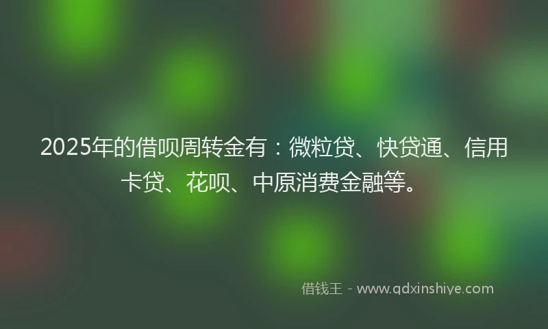 2025年的借呗周转金有：微粒贷、快贷通、信用卡贷、花呗、中原消费金融等。