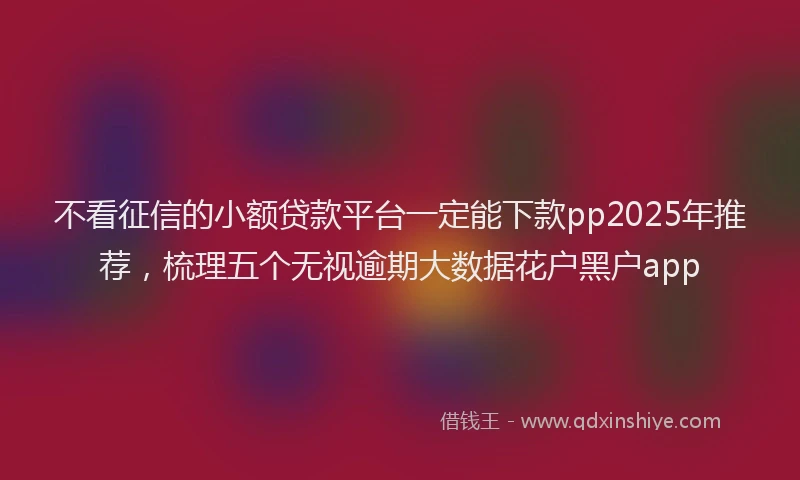 不看征信的小额贷款平台一定能下款pp2025年推荐，梳理五个无视逾期大数据花户黑户app