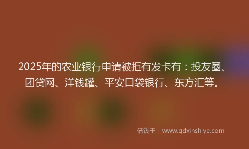 2025年的农业银行申请被拒有发卡有：投友圈、团贷网、洋钱罐、平安口袋银行、东方汇等。