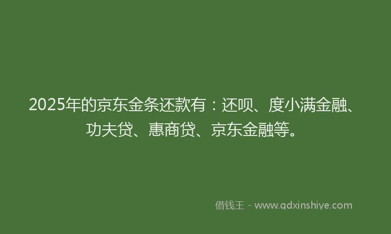 2025年的京东金条还款有：还呗、度小满金融、功夫贷、惠商贷、京东金融等。