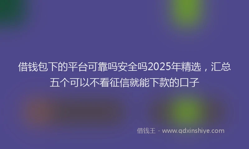 借钱包下的平台可靠吗安全吗2025年精选，汇总五个可以不看征信就能下款的口子