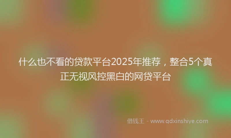 什么也不看的贷款平台2025年推荐，整合5个真正无视风控黑白的网贷平台