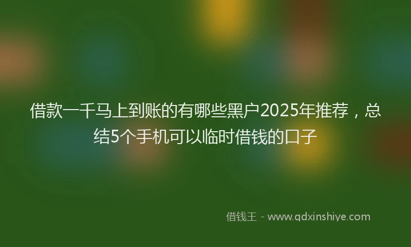 借款一千马上到账的有哪些黑户2025年推荐，总结5个手机可以临时借钱的口子