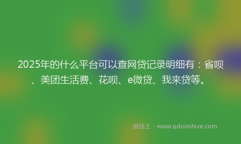 2025年的什么平台可以查网贷记录明细有：省呗、美团生活费、花呗、e微贷、我来贷等。