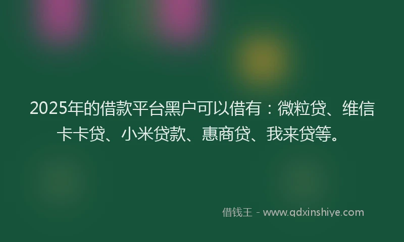 2025年的借款平台黑户可以借有：微粒贷、维信卡卡贷、小米贷款、惠商贷、我来贷等。