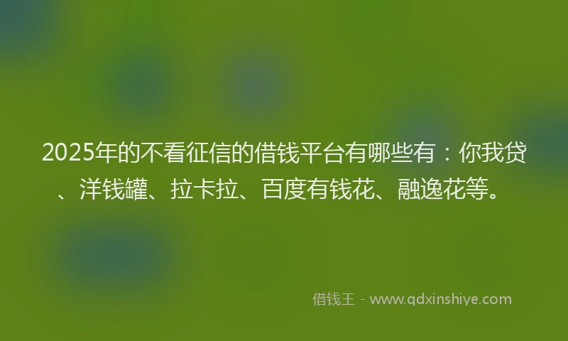 2025年的不看征信的借钱平台有哪些有：你我贷、洋钱罐、拉卡拉、百度有钱花、融逸花等。