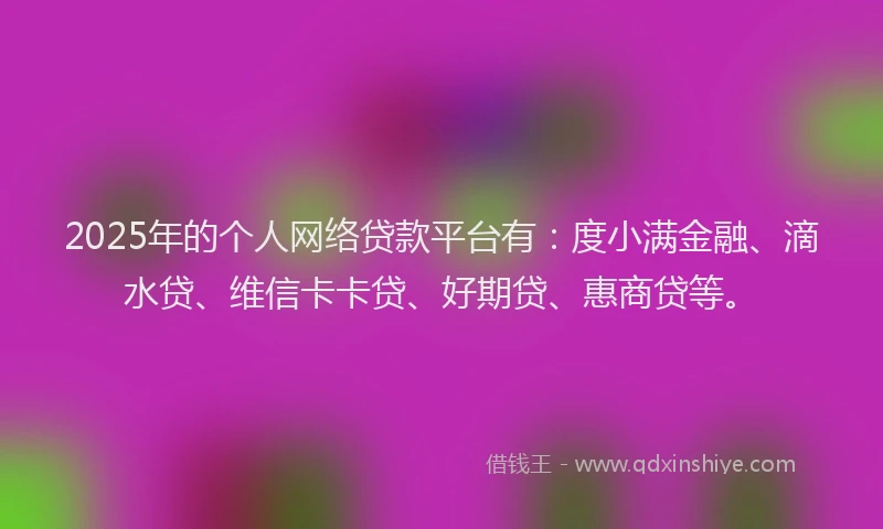 2025年的个人网络贷款平台有：度小满金融、滴水贷、维信卡卡贷、好期贷、惠商贷等。