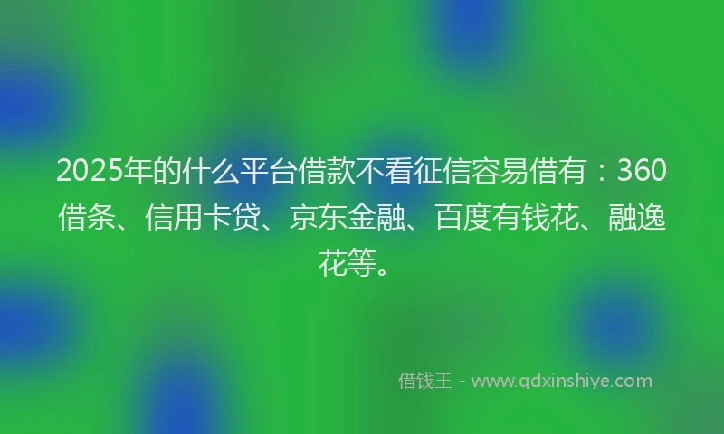2025年的什么平台借款不看征信容易借有：360借条、信用卡贷、京东金融、百度有钱花、融逸花等。