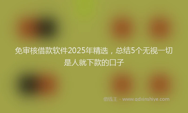 免审核借款软件2025年精选，总结5个无视一切是人就下款的口子