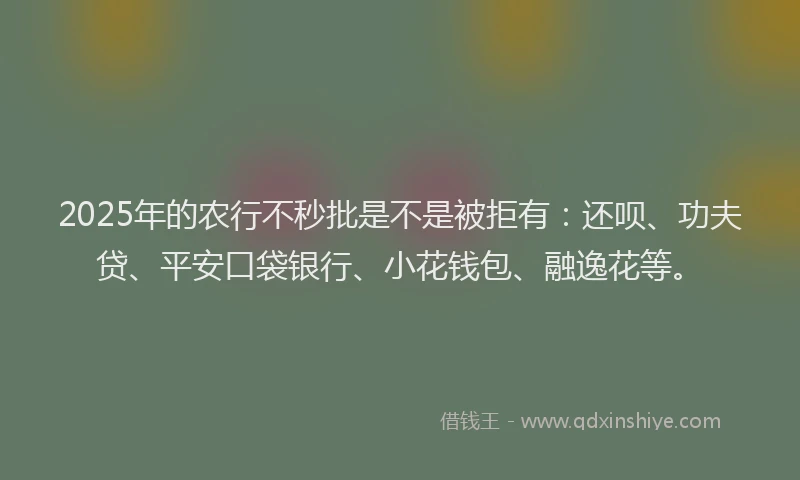 2025年的农行不秒批是不是被拒有：还呗、功夫贷、平安口袋银行、小花钱包、融逸花等。