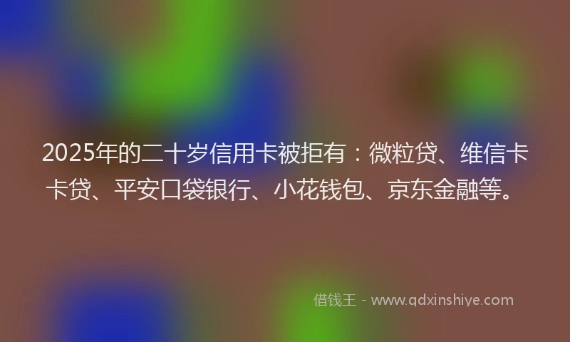 2025年的二十岁信用卡被拒有：微粒贷、维信卡卡贷、平安口袋银行、小花钱包、京东金融等。
