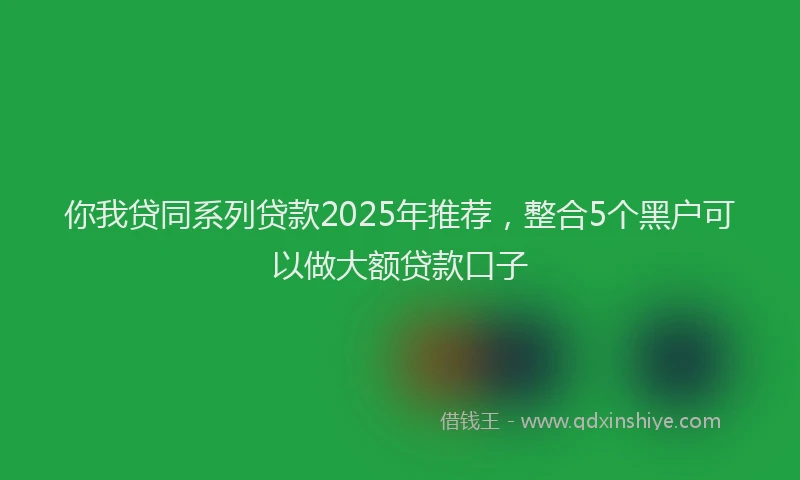 你我贷同系列贷款2025年推荐，整合5个黑户可以做大额贷款口子