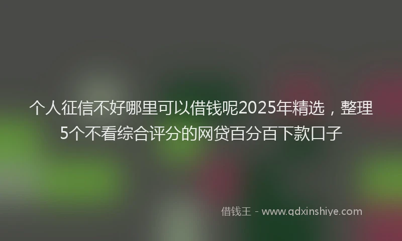 个人征信不好哪里可以借钱呢2025年精选，整理5个不看综合评分的网贷百分百下款口子