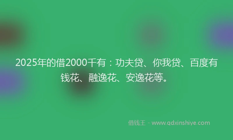 2025年的借2000千有：功夫贷、你我贷、百度有钱花、融逸花、安逸花等。