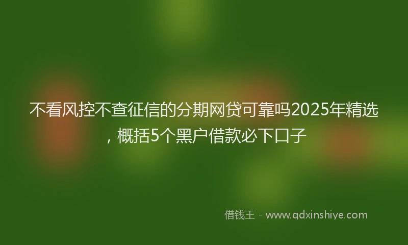 不看风控不查征信的分期网贷可靠吗2025年精选，概括5个黑户借款必下口子