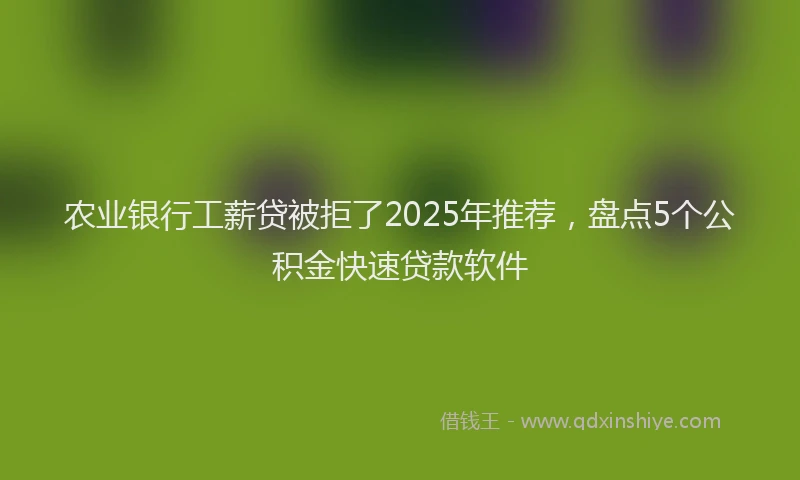 农业银行工薪贷被拒了2025年推荐，盘点5个公积金快速贷款软件