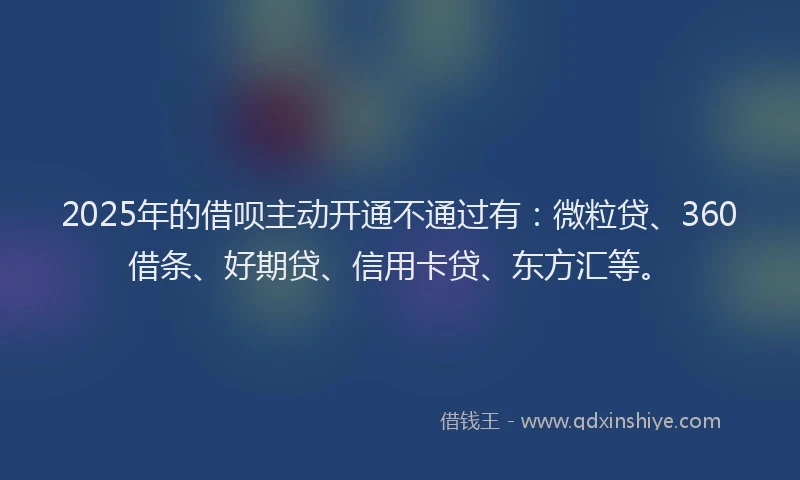 2025年的借呗主动开通不通过有：微粒贷、360借条、好期贷、信用卡贷、东方汇等。
