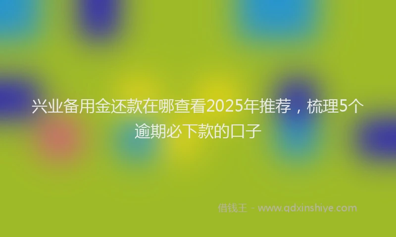 兴业备用金还款在哪查看2025年推荐，梳理5个逾期必下款的口子
