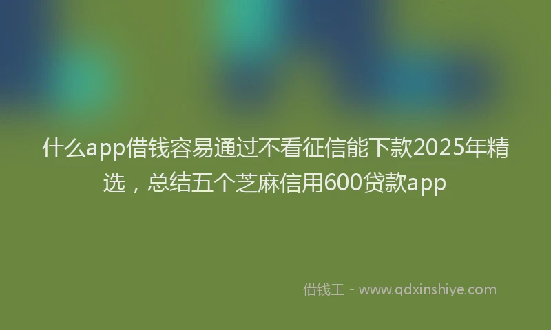 什么app借钱容易通过不看征信能下款2025年精选，总结五个芝麻信用600贷款app
