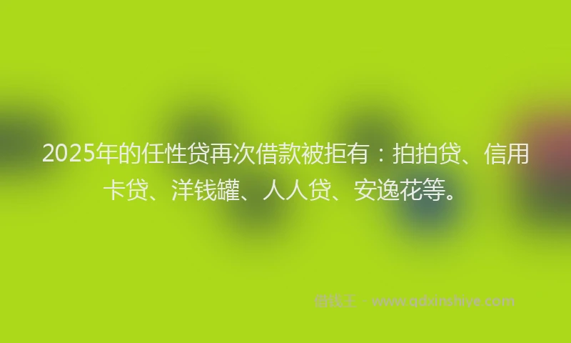 2025年的任性贷再次借款被拒有：拍拍贷、信用卡贷、洋钱罐、人人贷、安逸花等。