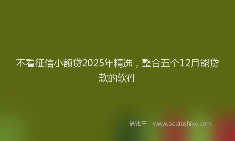 不看征信小额贷2025年精选，整合五个12月能贷款的软件