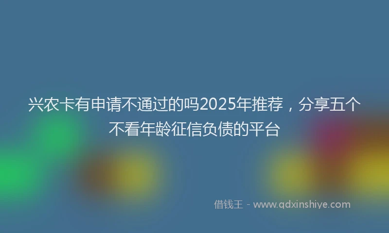 兴农卡有申请不通过的吗2025年推荐，分享五个不看年龄征信负债的平台