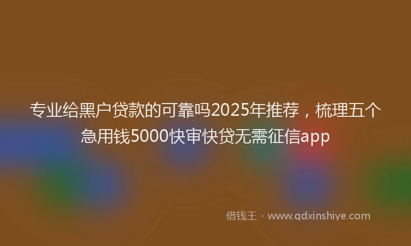 专业给黑户贷款的可靠吗2025年推荐，梳理五个急用钱5000快审快贷无需征信app