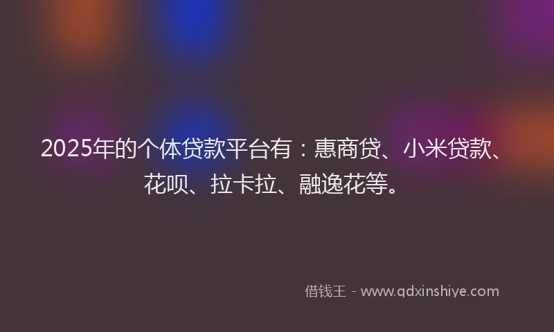 2025年的个体贷款平台有：惠商贷、小米贷款、花呗、拉卡拉、融逸花等。