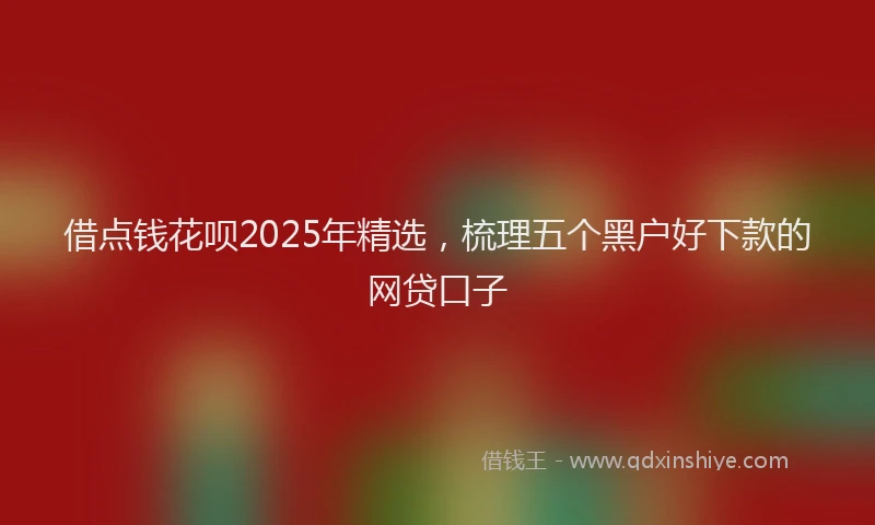 借点钱花呗2025年精选，梳理五个黑户好下款的网贷口子