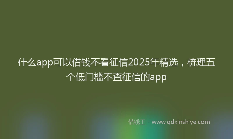 什么app可以借钱不看征信2025年精选，梳理五个低门槛不查征信的app